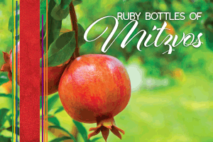 7    on    Seven:    Ruby    Bottles    of    Mitzvos