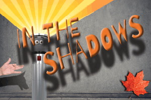 In    the    Shadows