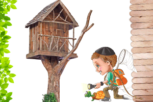 The    Story    Behind    the    Mini    Tree    House