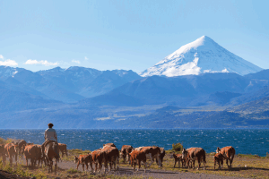 Around    the    Globe    –    Argentina