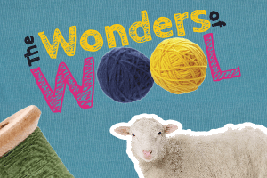 The    Wonders    of    Wool