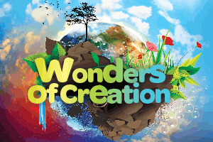 Wonders    of    Creation