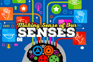 Making    Sense    of    Our    Senses