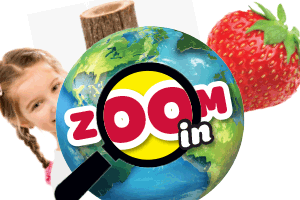 Zoom    In