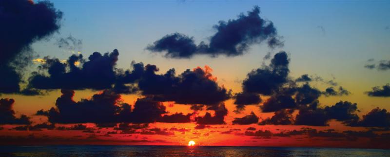 A    Drop    in    the    Ocean