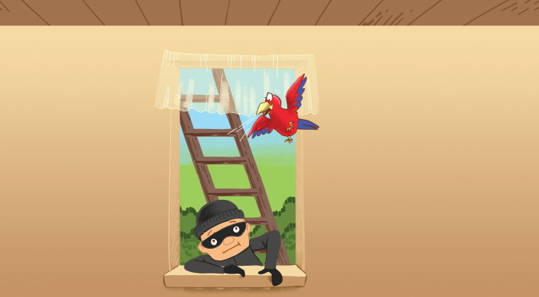 Jolly    Solly:    Jailbird