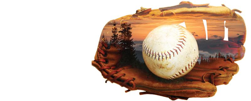 A    Federal    Case
