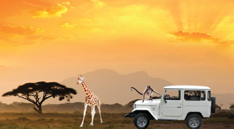 African    Adventures
