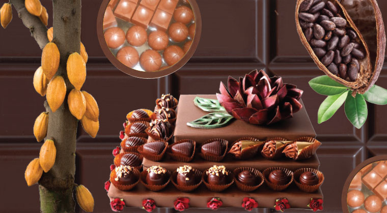 Chocolate    Meltdown