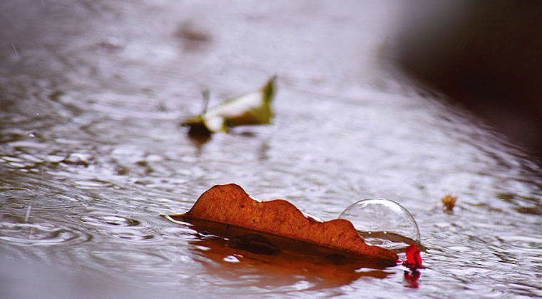 As    the    Water    Flows