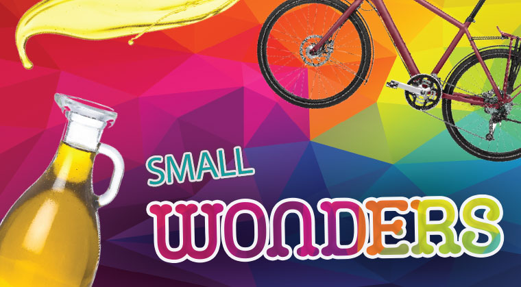 Small    Wonders
