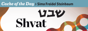 Cache    of    the    Day:    Adar