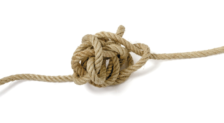 Lifelines:    F    is    for    Fluency