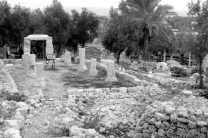 A    Tomb    Lost    to    Time