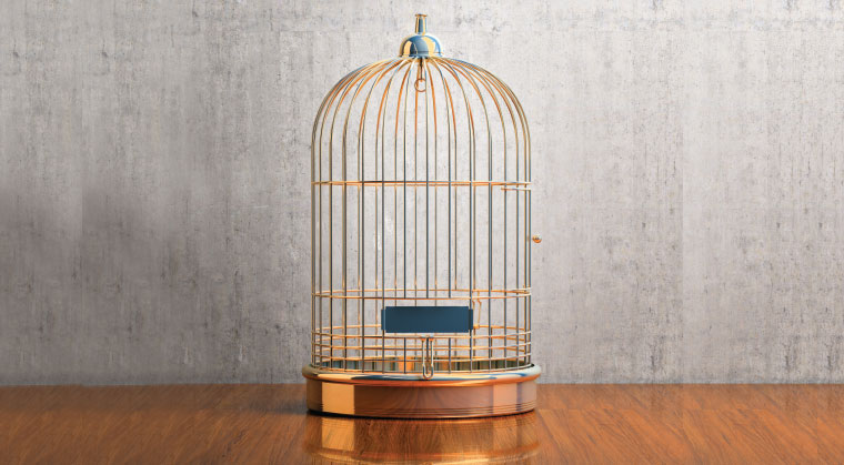 Gilded Cage