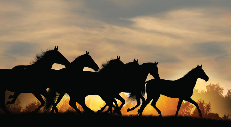 Horses    in    the    Wind
