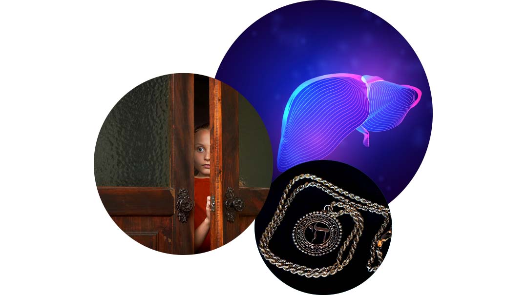 Family First Inbox: Issue 782