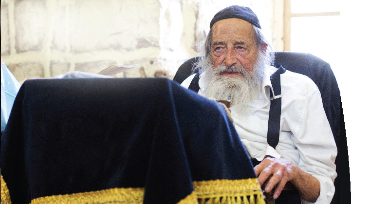 No    More    Foxes    on    Mount    Zion