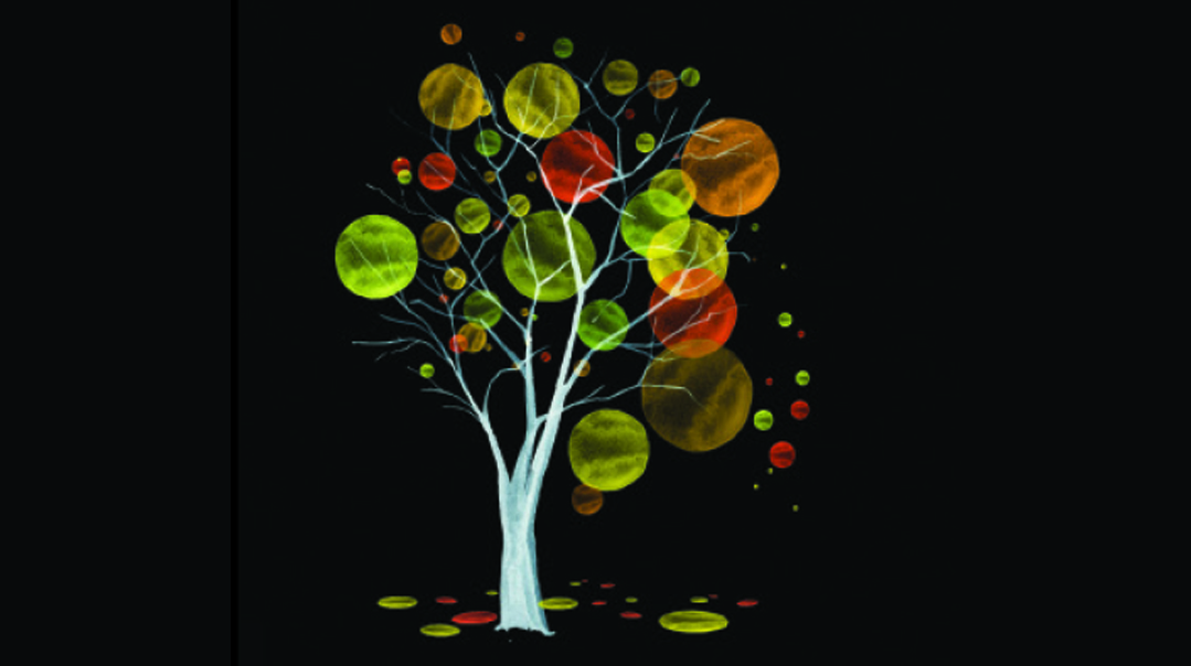 Seeds of Kindness