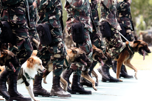 Four-Legged    Foot    Soldiers