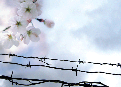 Beyond    Yesterday’s    Survival:    Children    of    Holocaust    Survivors    Speak    about    Their    Experiences