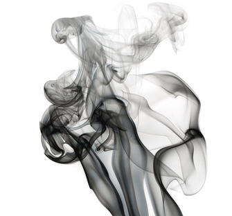 Through    the    Ashes
