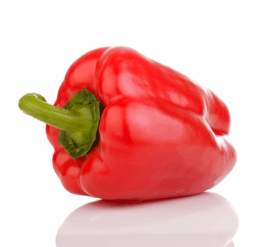 The    Holy    Red    Pepper