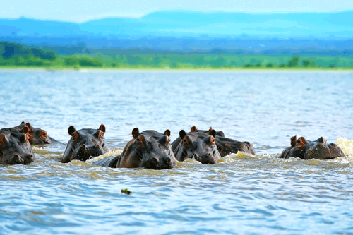Around    the    Globe    –    Kenya