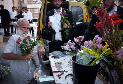 Do    Pick    the    Flowers