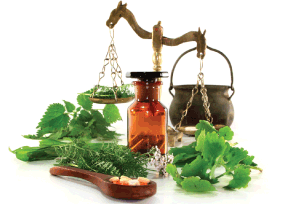 Forest    Pharmacy
