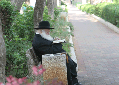 Torah    Never    Takes    a    Vacation