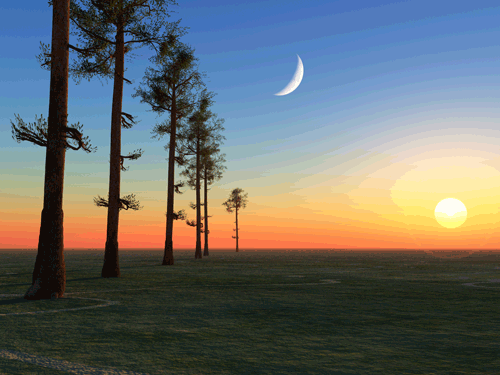 Morning    Moon