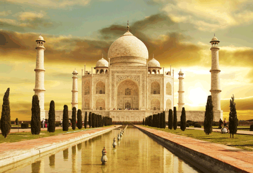 A    Flower    Blooms    in    India