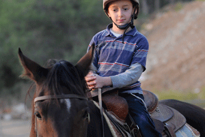 Giddyup!    Let’s    Go    Riding!