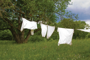The    Lore    of    Laundry