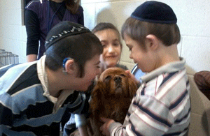 More    than    Man’s    Best    Friend