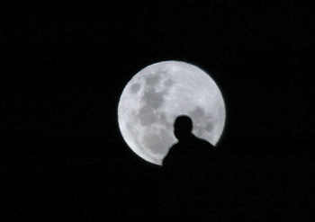 Moonlight