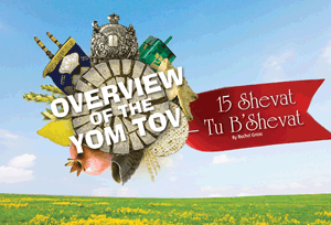 Overview    of    the    Yom    Tov:    Tu    B’Shvat