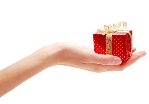 Pinchas:    A    Partner    in    Giving