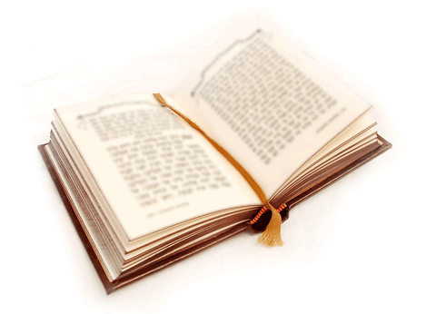 Emor:    Kiddush    Hashem