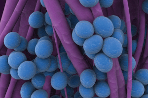 Tiny    Particles