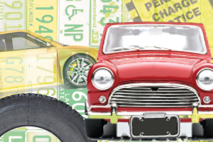 License    Plates