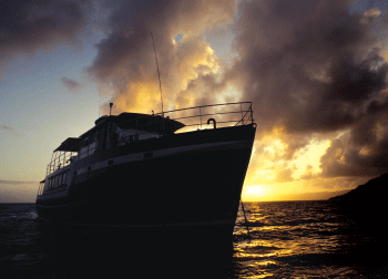 Last    Ship    Out