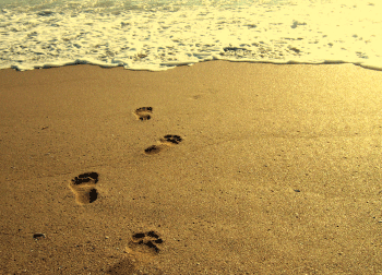 Short    Story:    The    One    Who    Got    Away