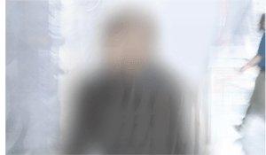 The    Invisible    Girl