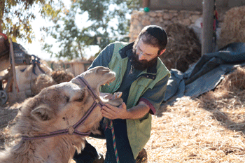 How    to    Get    a    Camel    to    Say    “Ahh”    and    Other    Tails