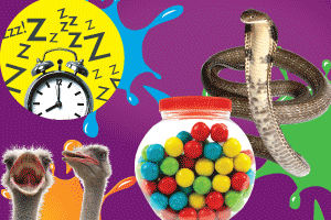 The    Weird    World    of    Whacky    Works