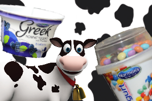 Norman’s    Yogurt    Factory