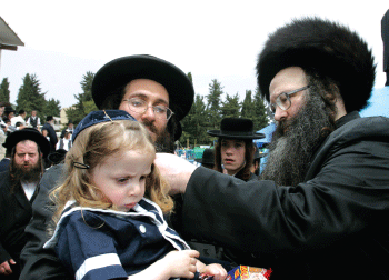 Zaidy    Zakon