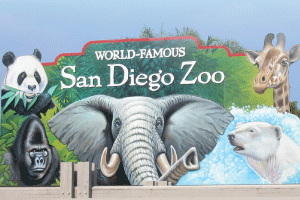 Around    the    World    in    Eight    Weeks:    Zoos